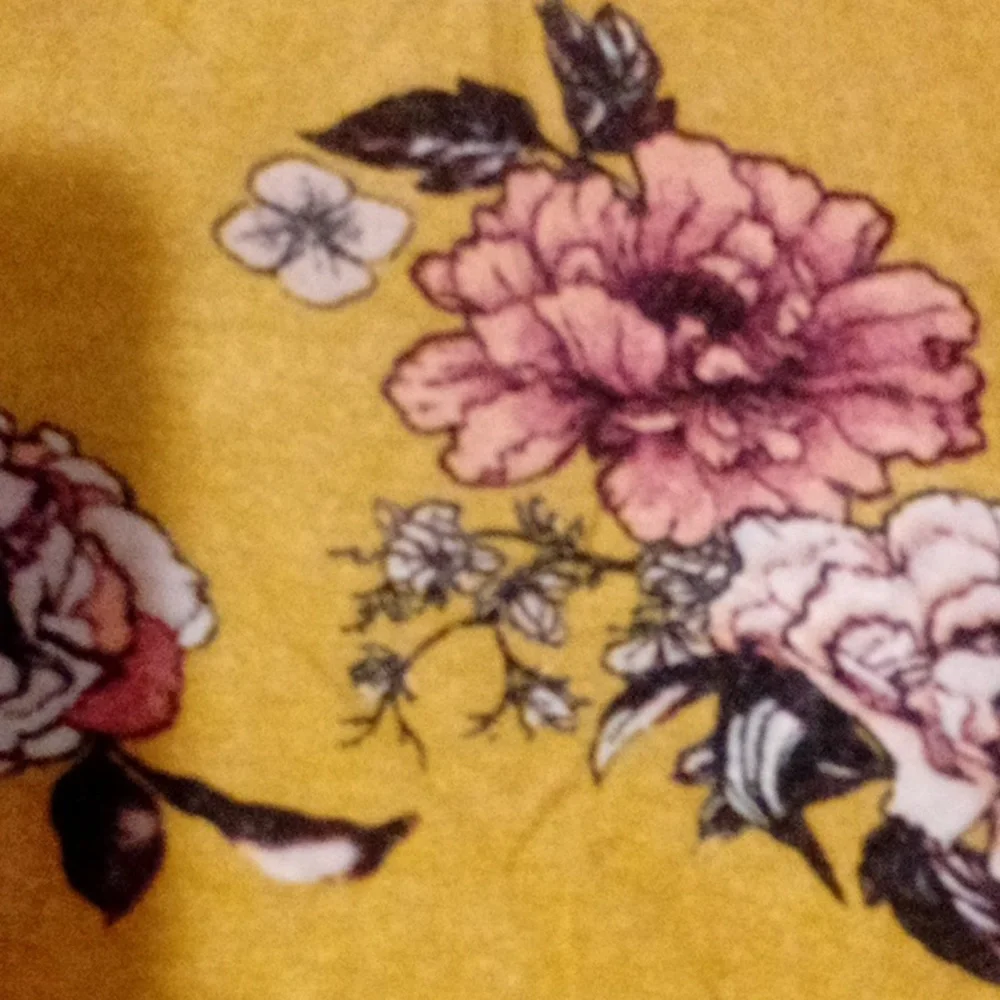 Shit - Picture 2 of 3